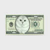 Custom Photo License Plate featuring a cat image on a $100 bill design