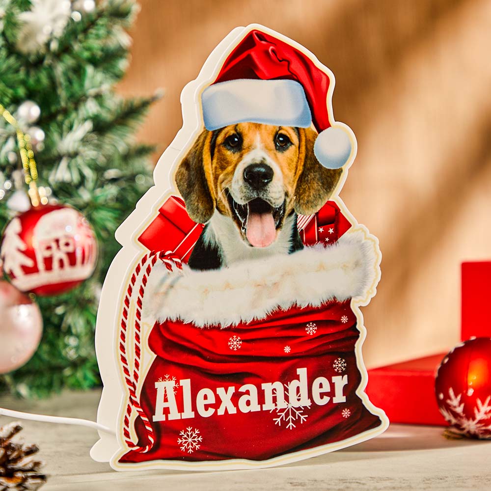 Personalized Pet Night Light with dog in Santa hat, featuring the name 'Alexander', a unique Christmas gift.