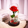 Eternal red rose in glass dome, home decor, romantic gift