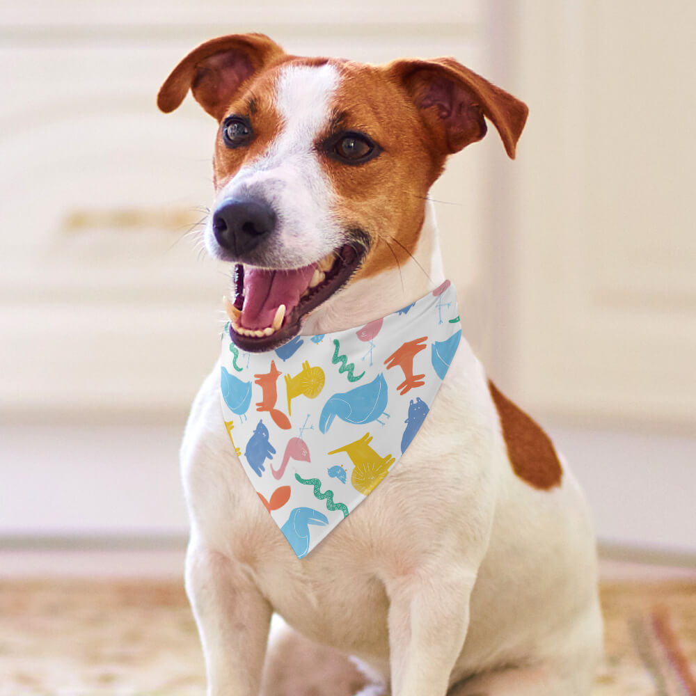 print on demand Pet Clothes