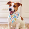 Dinosaur pattern polyester pet scarf on a dog, soft and comfortable for daily wear and parties