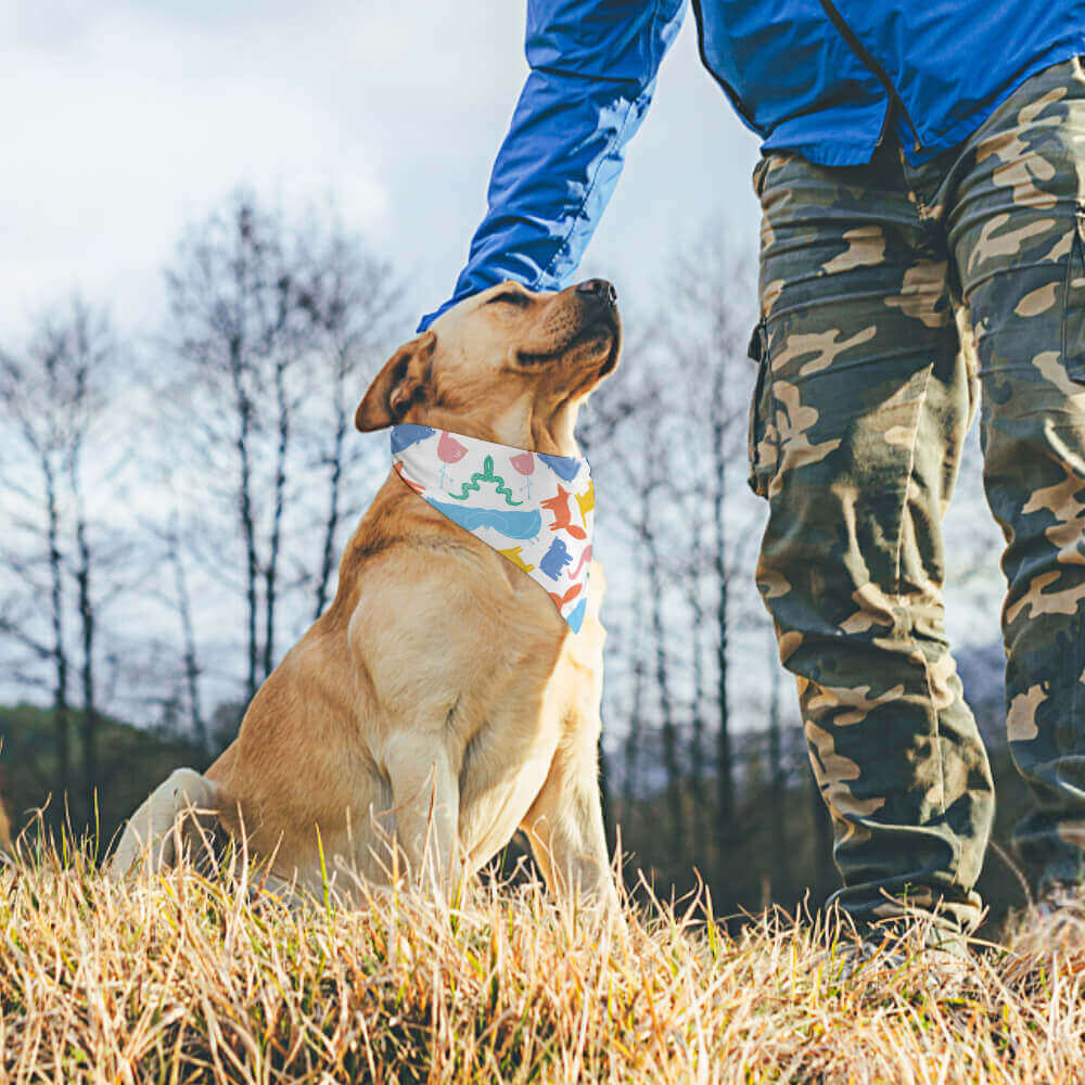 print on demand Pet Clothes