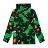 Green dinosaur turtleneck youth hoodie, suitable for spring, autumn, and winter wear.