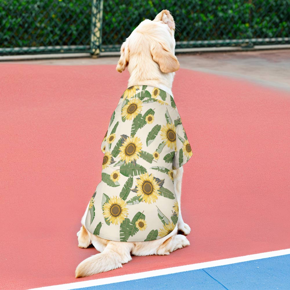 Dog wearing a classic style sunflower pattern pet shirt made of breathable polyester, outdoor sun protection.