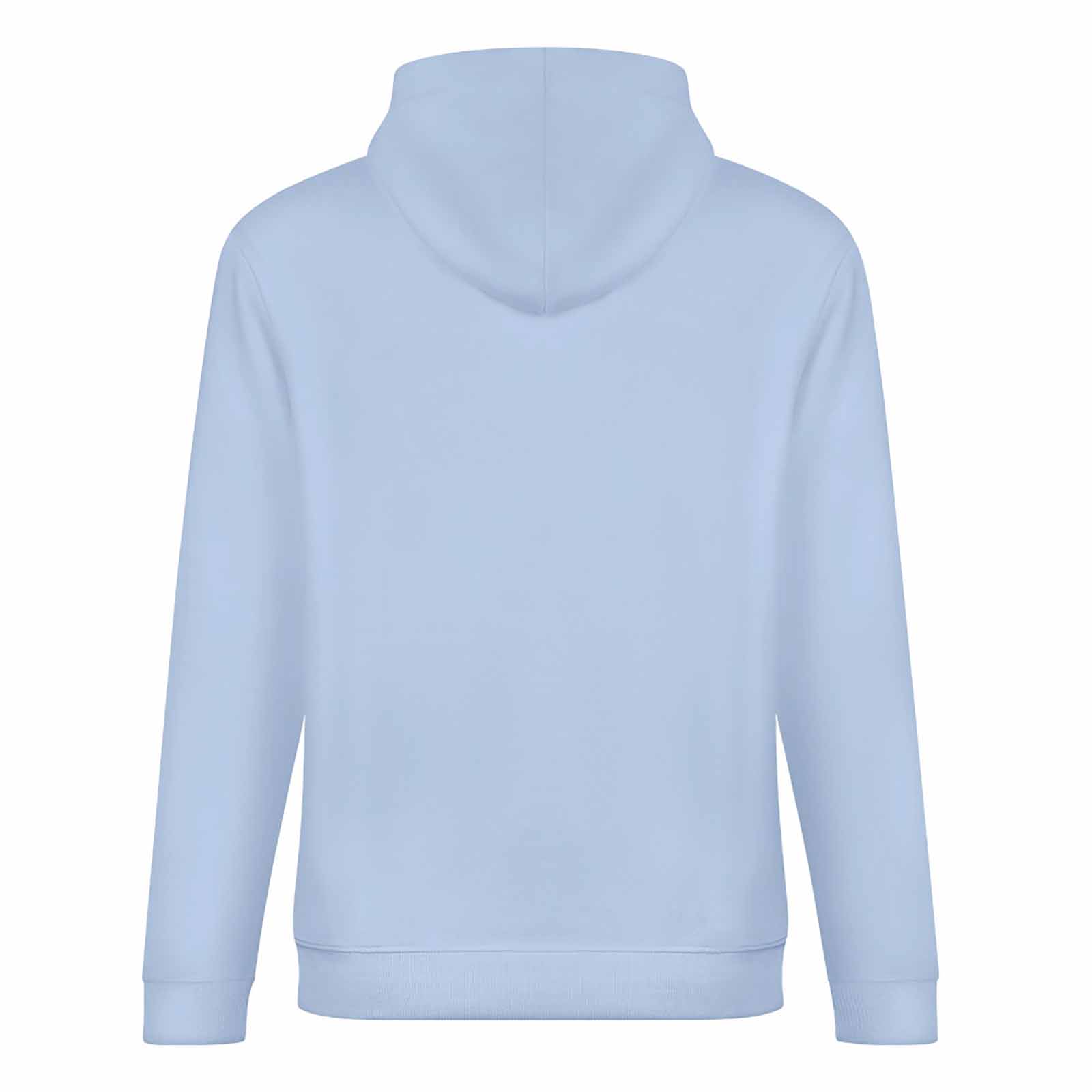 Light blue 100% cotton hooded sweater, loose fit, suitable for daily wear, multiple colors available.