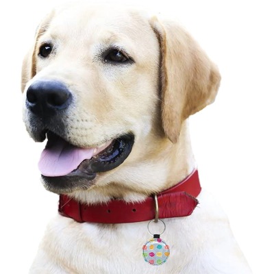 Round PU leather pet ID tag on a golden retriever, wearing a red collar, highlighting fashion and personality for pets