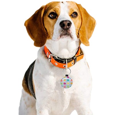 Round PU leather pet ID tag on a Beagle dog, personalized with pet's name.