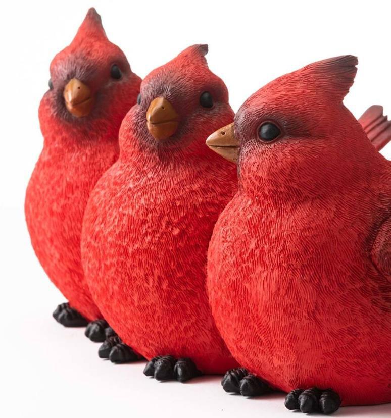 Close-up of cardinal birds showing feather texture, beaks, eyes and black claw feet