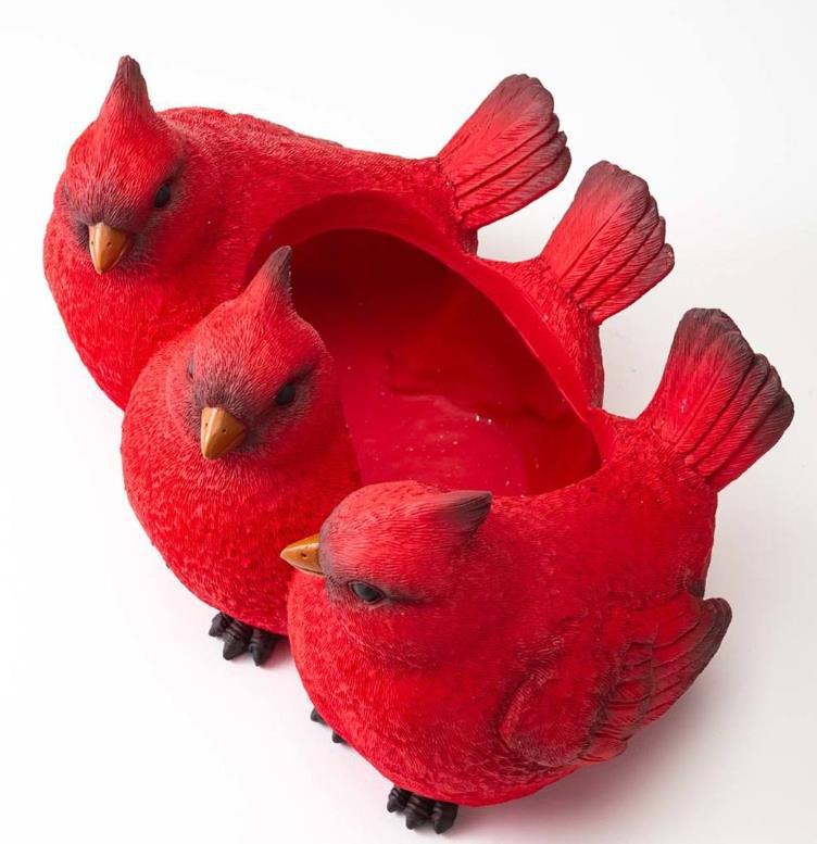 Top-down view of three birds showing the hollow open cavity behind them