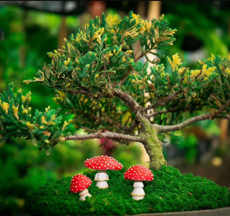 Mushroom figurines at the base of a bonsai tree on moss