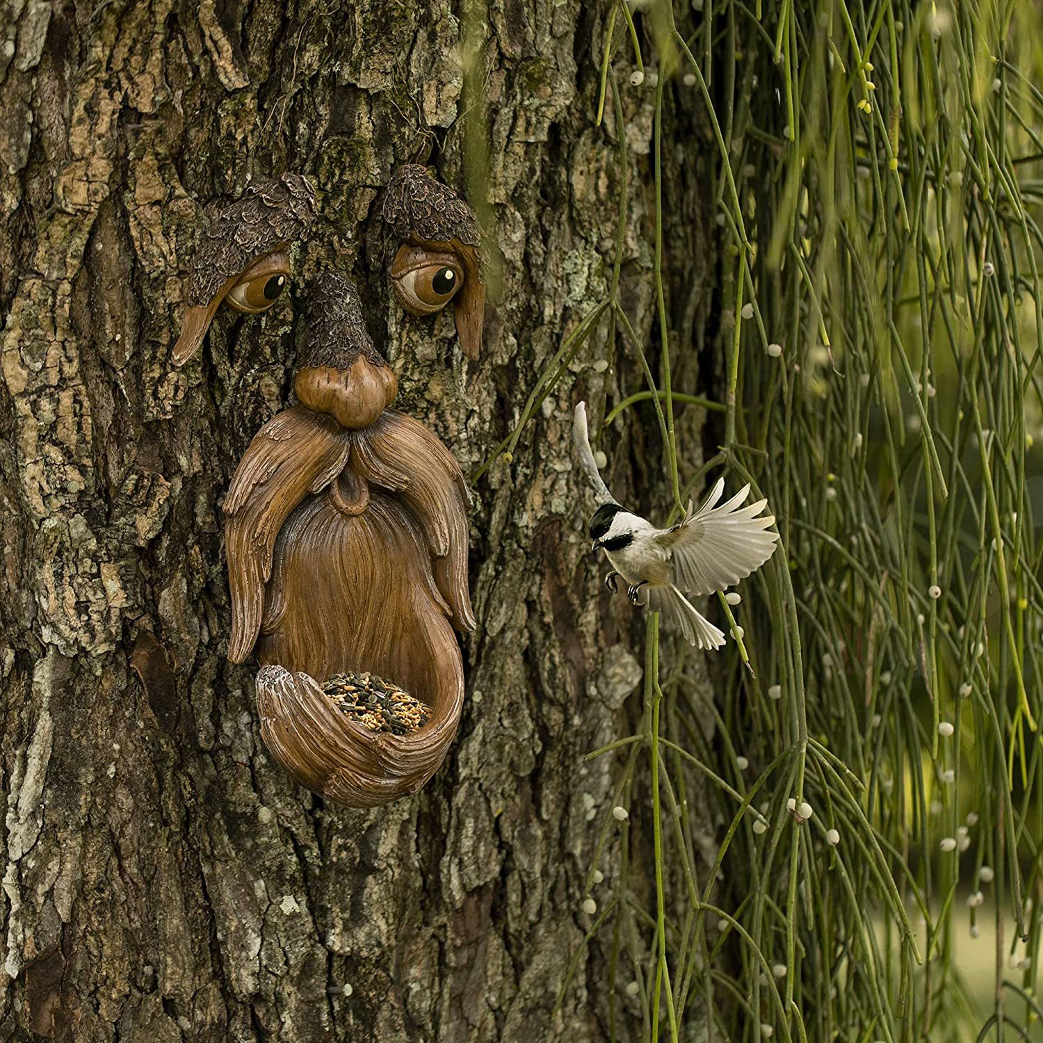Tree face on bark with a chickadee landing at the seed bowl