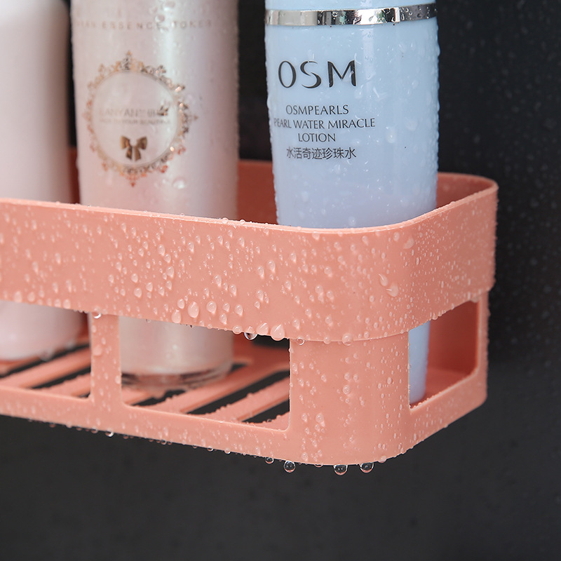 Close-up of coral rack with water droplets and bottles in open-slot tray