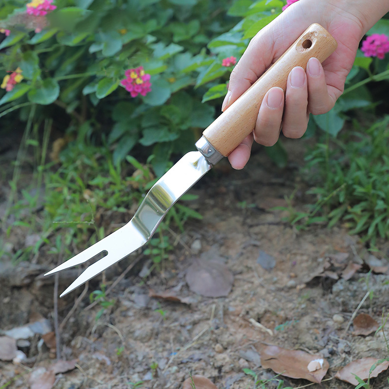 Gardener's hand gripping a wood-handled weeding tool beside garden plants