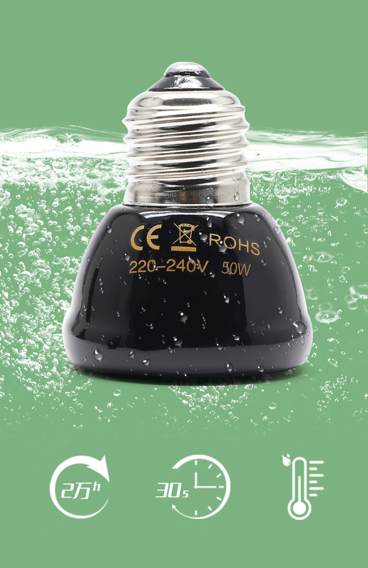 FC2B59A323537B9B5E2F01BBD2E1CFED.jpg