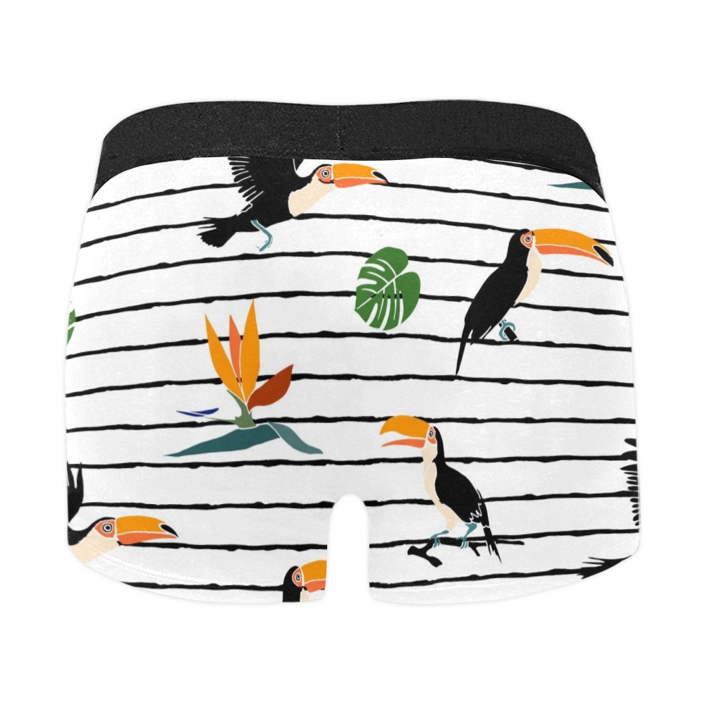 Men's All-Over Print Boxer Briefs (Model L10) with bird print and striped design