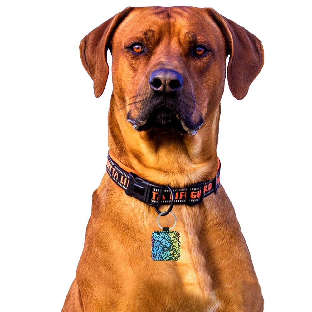 Square PU leather pet ID tag on dog, custom design