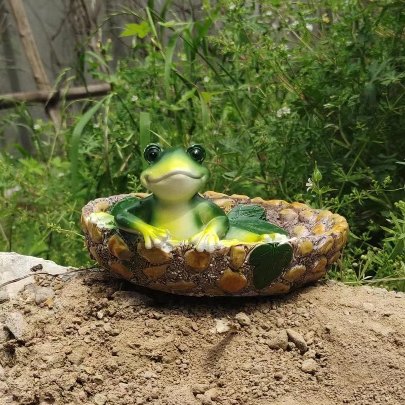 Frog tray among green plants and a stone showing garden scale