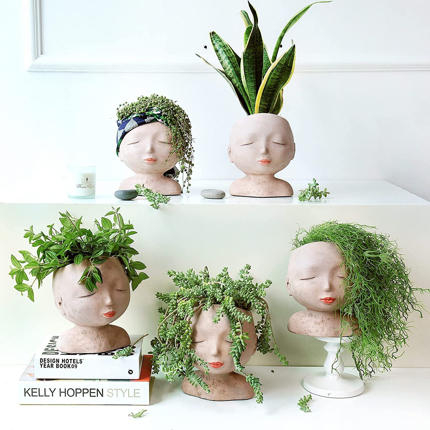 Several face planters lined up on shelves with succulents and trailing greenery