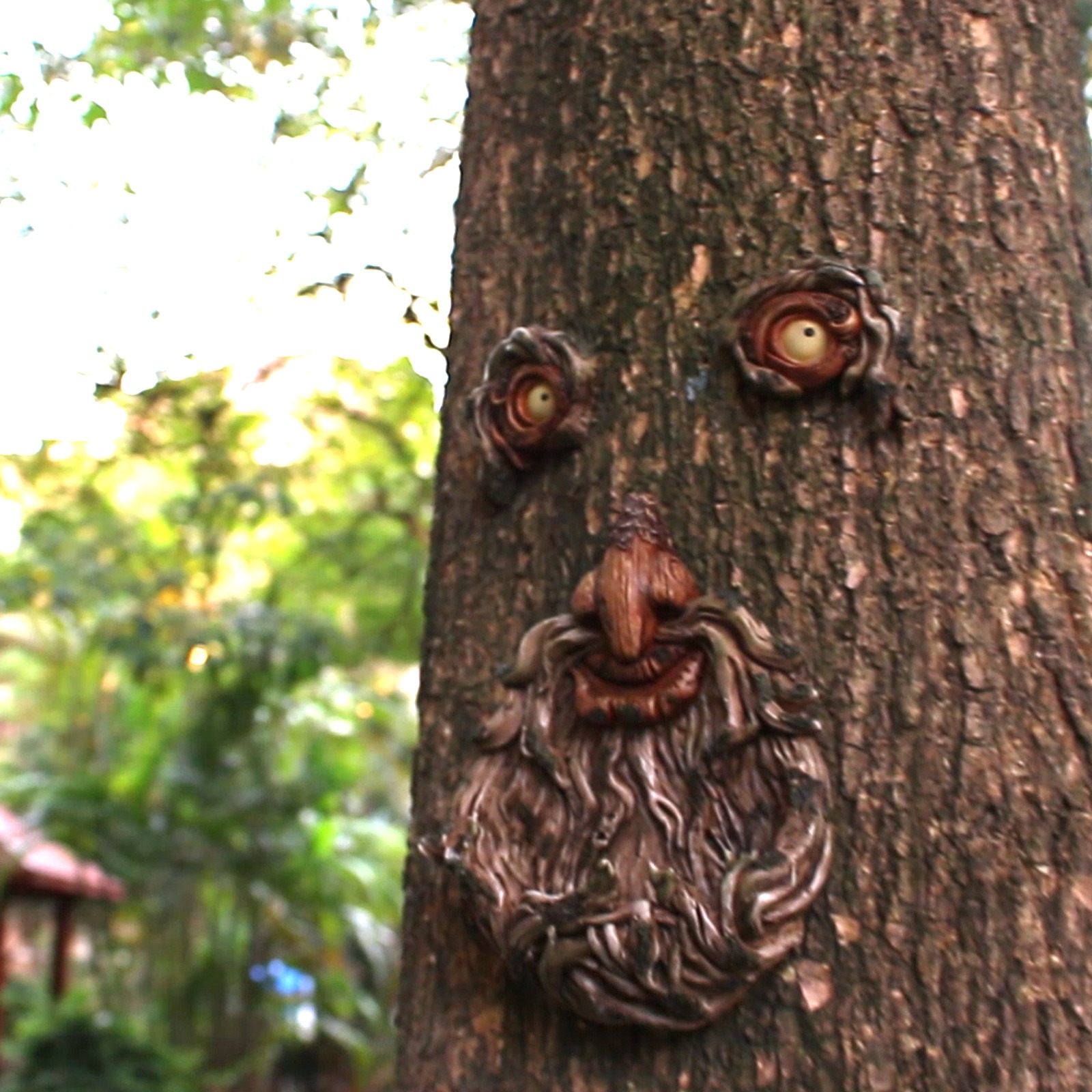 Tree face mounted on a tree trunk outdoors in daylight