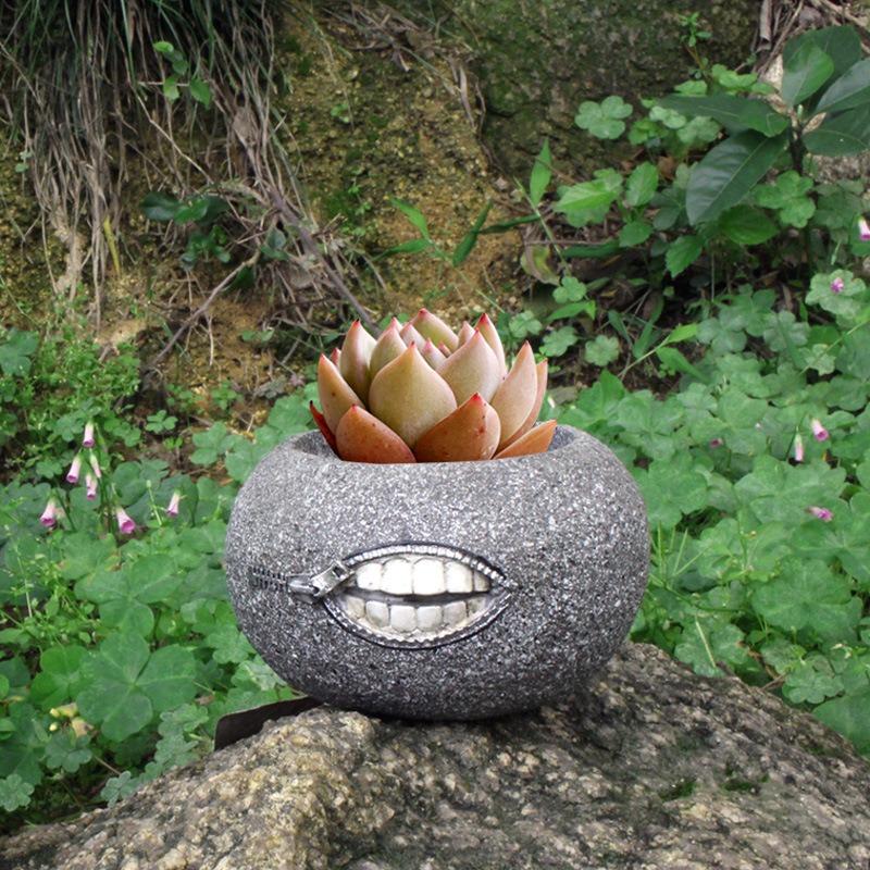 Succulent planted in grey zipper-mouth stone pot outdoors on a rock