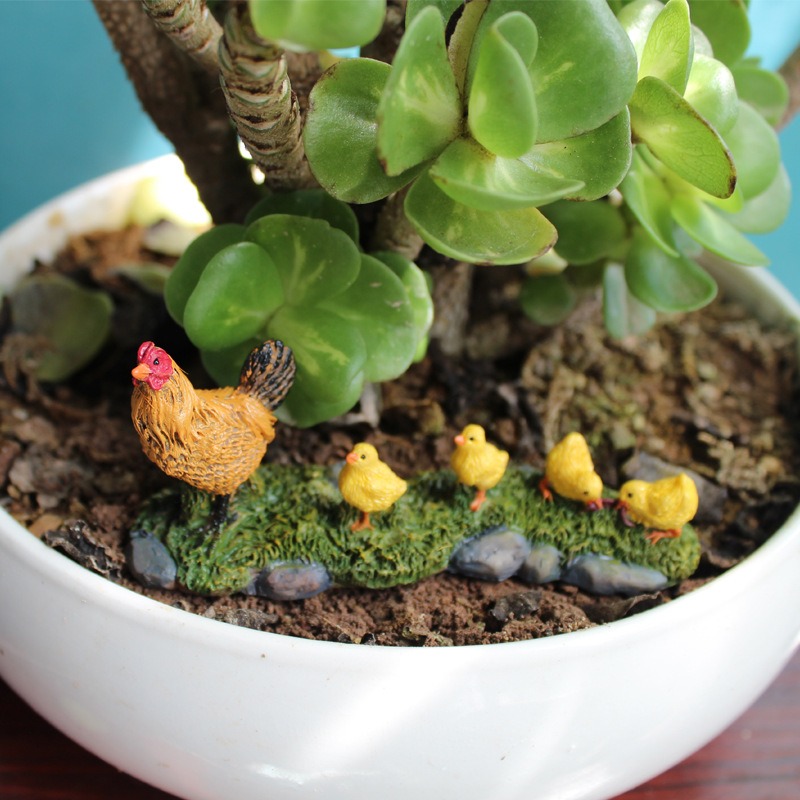 Succulent planter with bare soil and stones on a windowsill