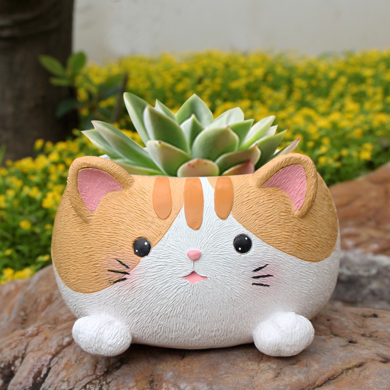 Cat succulent pot set on rocks beside yellow flowering ground cover