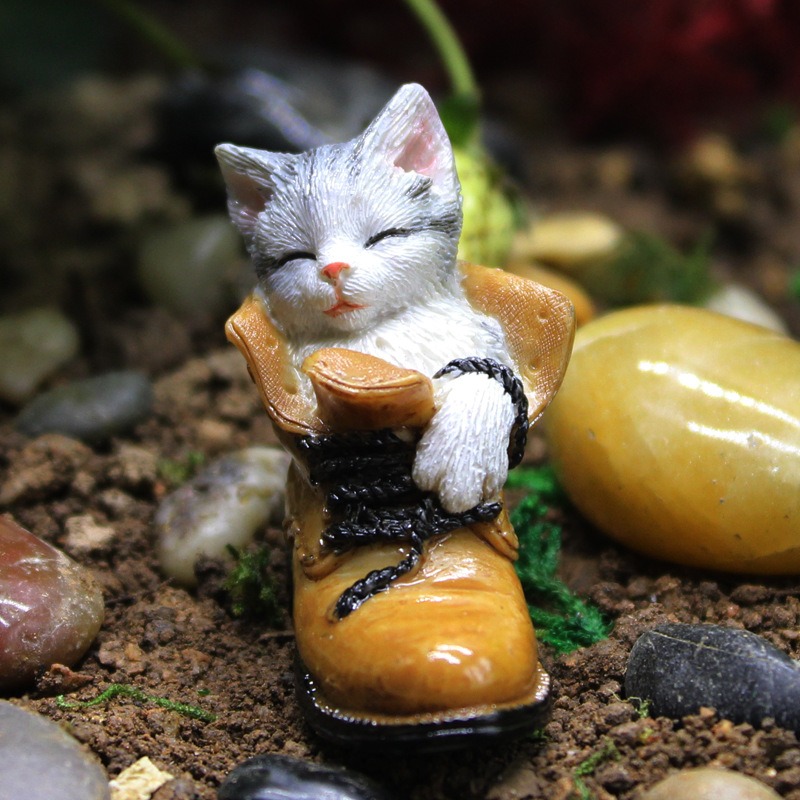 Close-up of a sleeping kitten face and paws in a tan boot