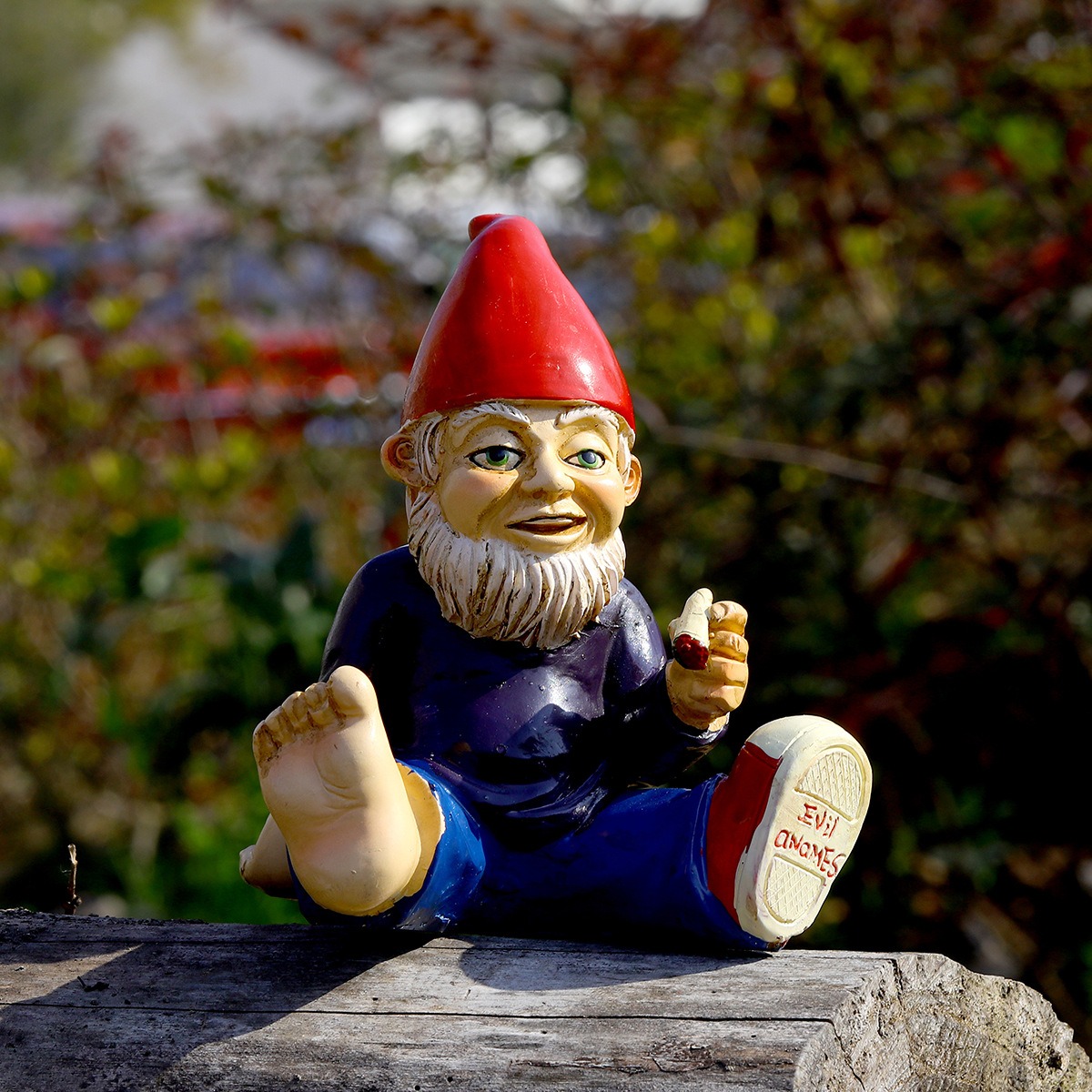 Gnome figurine sitting on a weathered log outdoors in front of shrubs