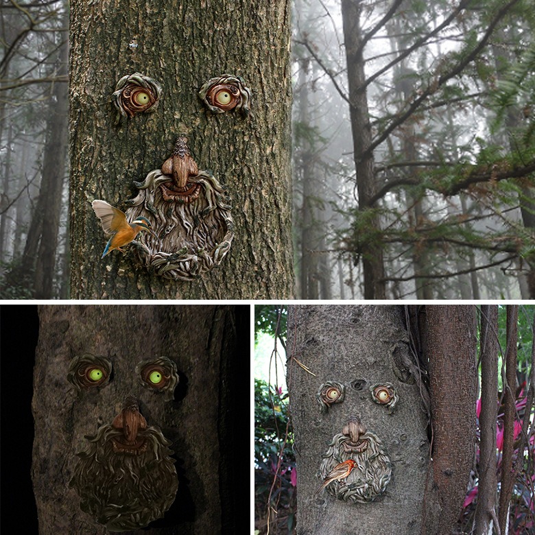 Collage of tree face in misty forest, at night, and with a bird perched