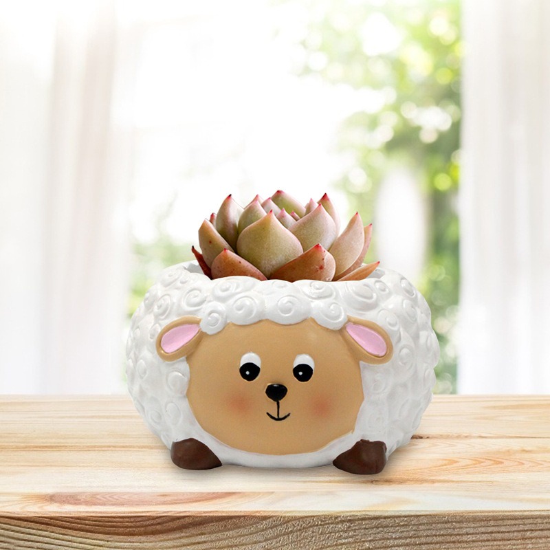 Lamb succulent planter on wooden table by a sunny window