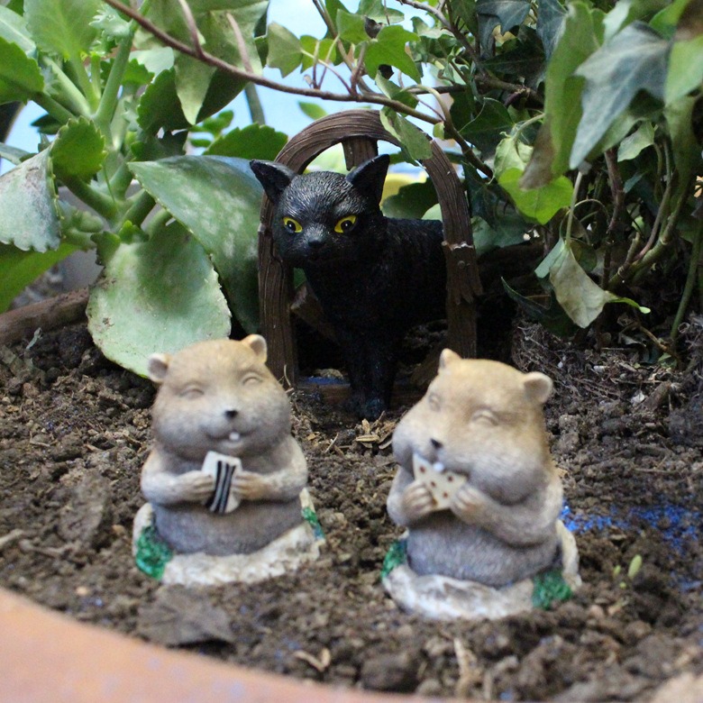 Gophers and black cat doorway set among soil and plants in a planter