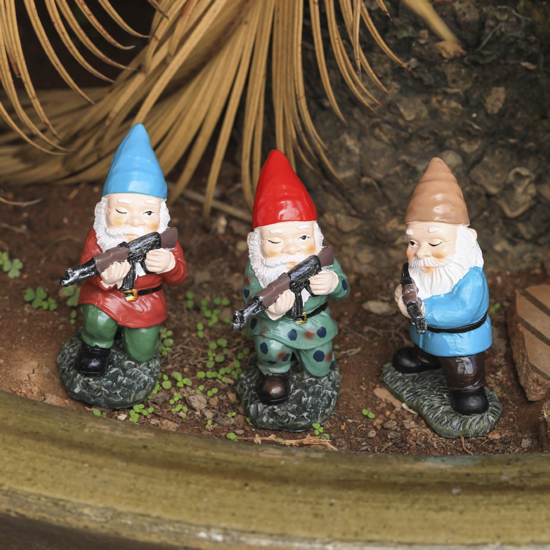 Gnomes set in a garden bed beside soil and small plants for scale
