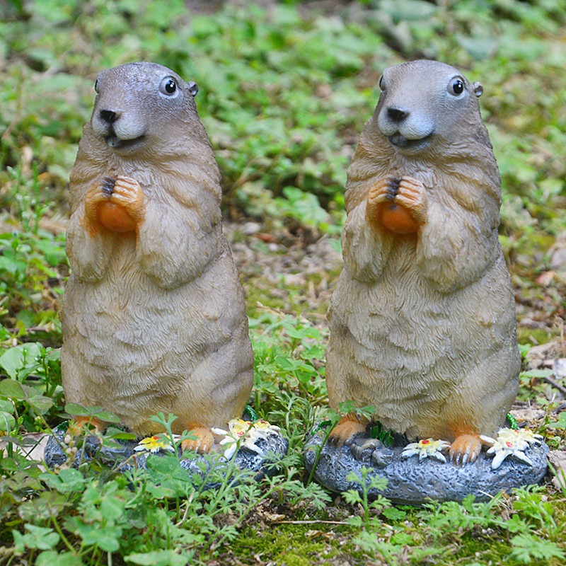 Two groundhog figurines set in a grassy garden among green plants