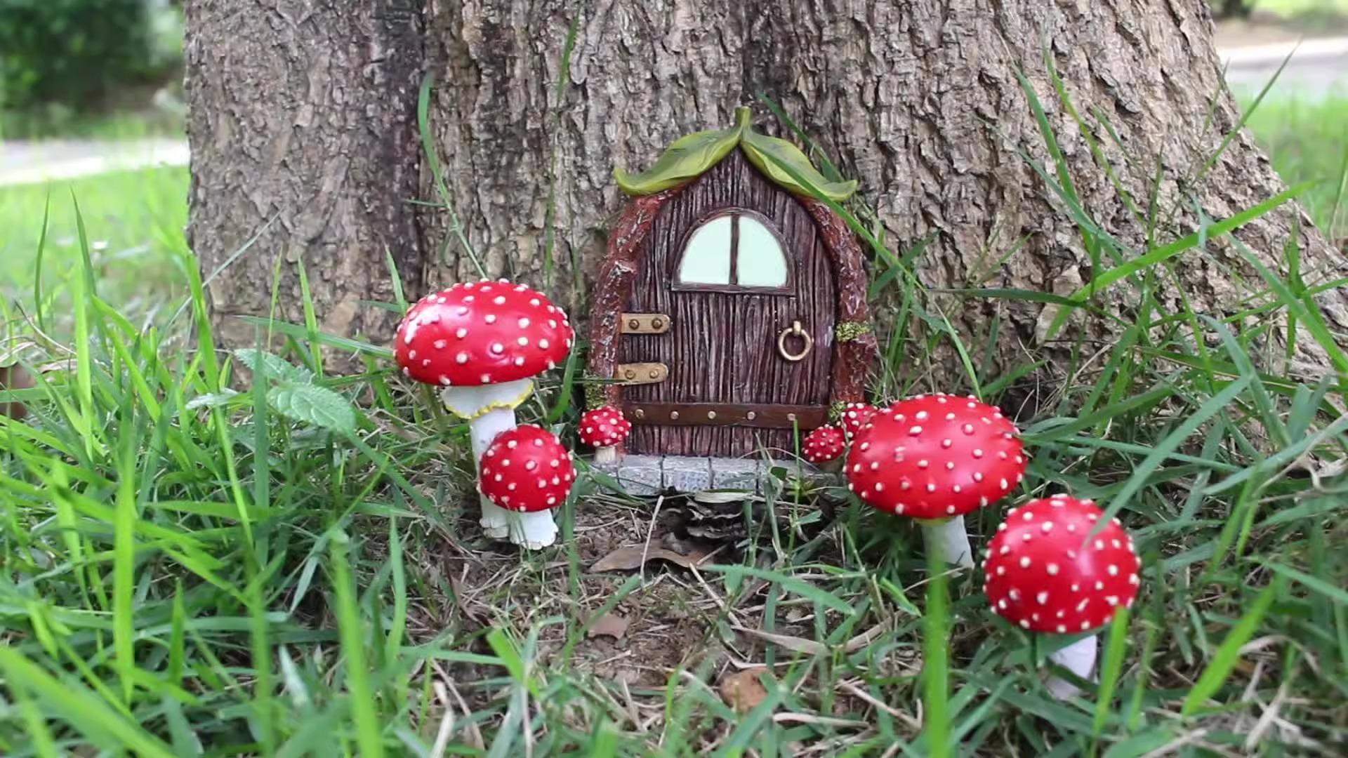 Close view of the arched fairy door with leaf canopy and bark texture