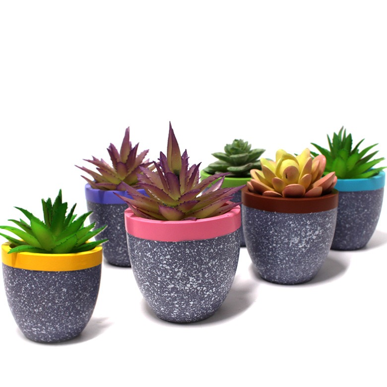 Speckled resin pots with colored rims lined up on a shelf