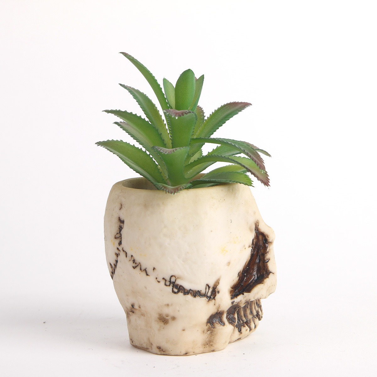 Side view of skull planter showing etched sutures and jaw detail