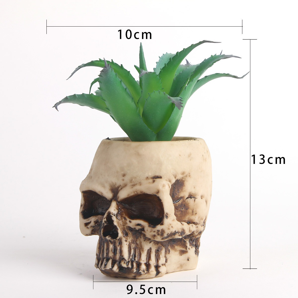 Skull planter shown with its width, height and depth measurements