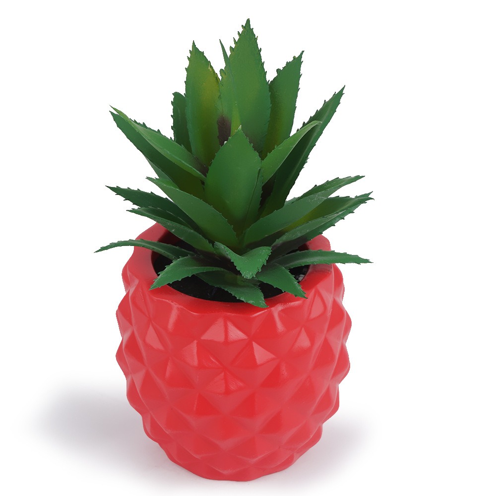 Three-quarter view of red diamond-textured pineapple pot and succulent