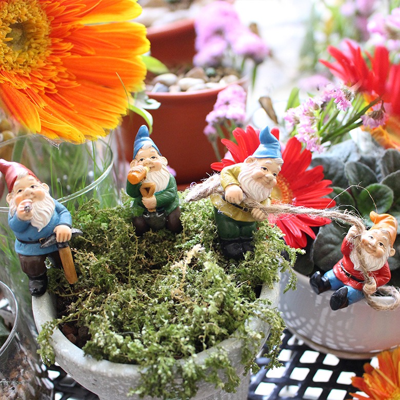 Four gnomes arranged among moss and colorful gerbera daisies in a planter