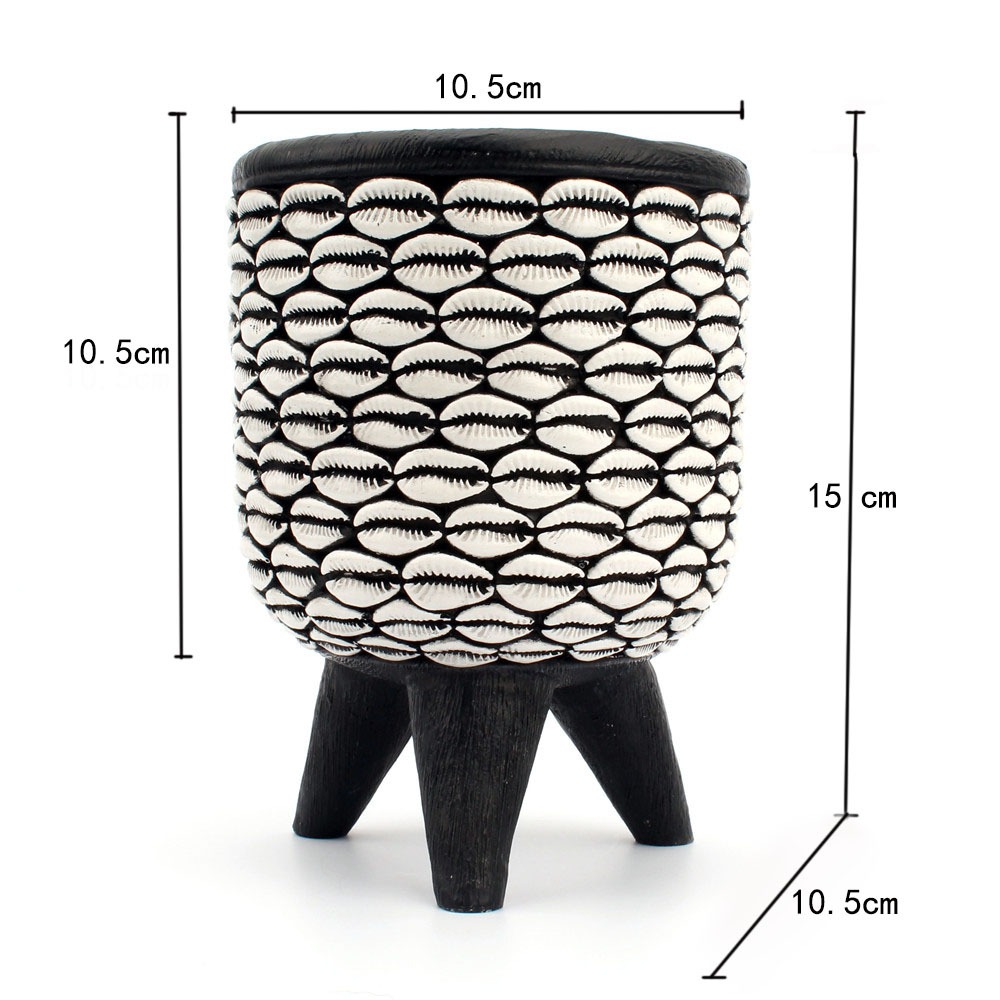 Cowrie shell tube with dimension lines marking its 10.5 cm width and 15 cm height