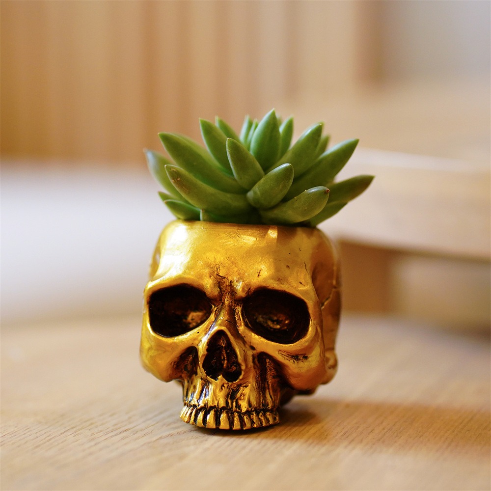 Golden skull holder with a green succulent planted in its crown