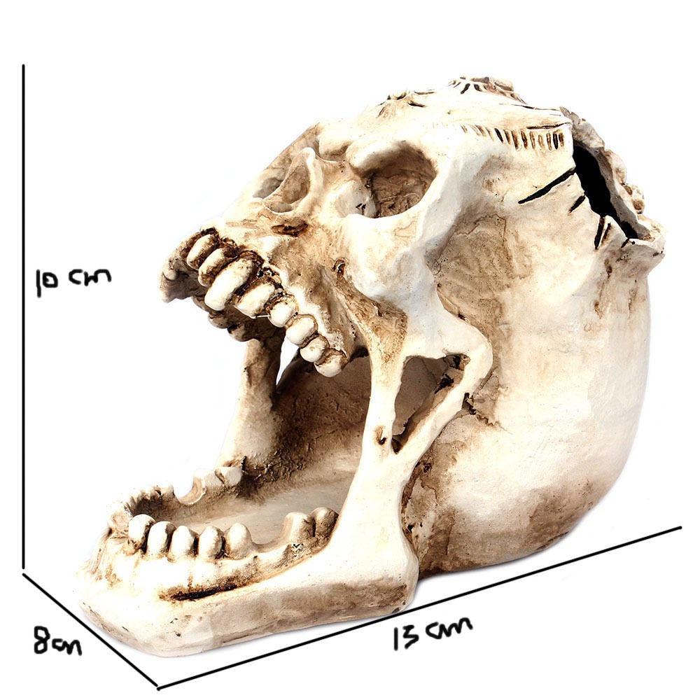 Skull pen holder side view with dimensions marked for scale