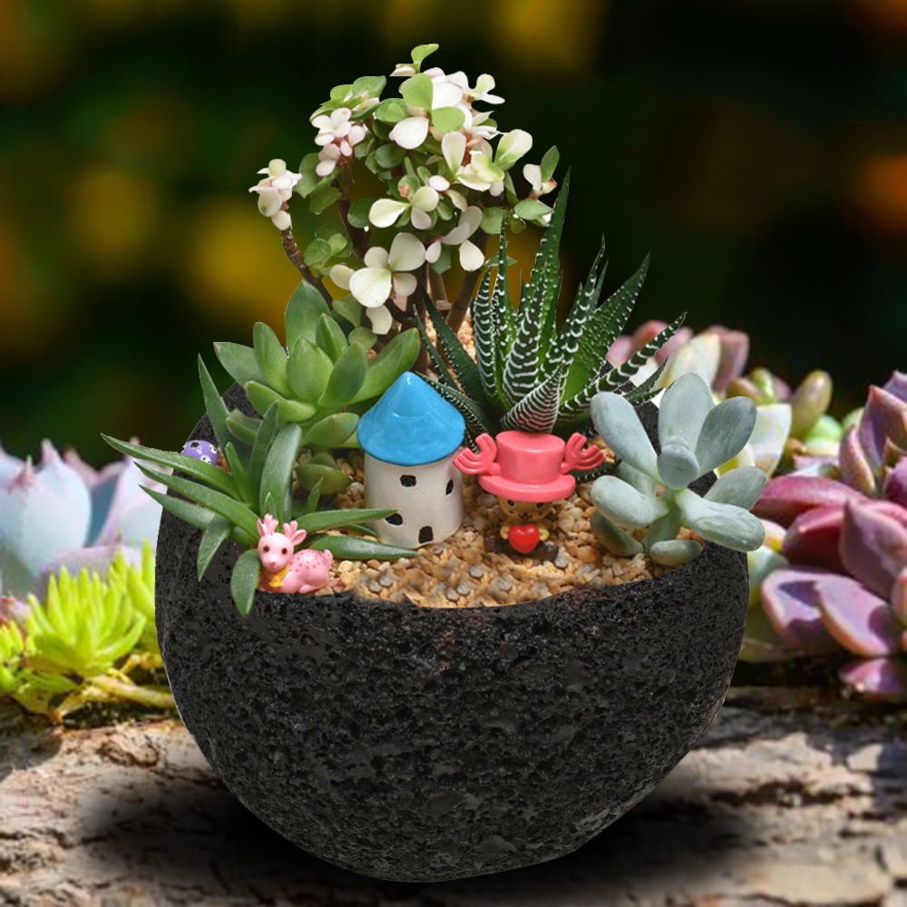 Matte black stone planter with green succulent arrangement set in the opening