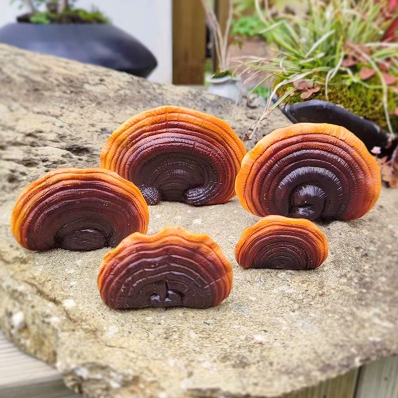 Reishi bracket ornaments set on a rock with plants and moss behind