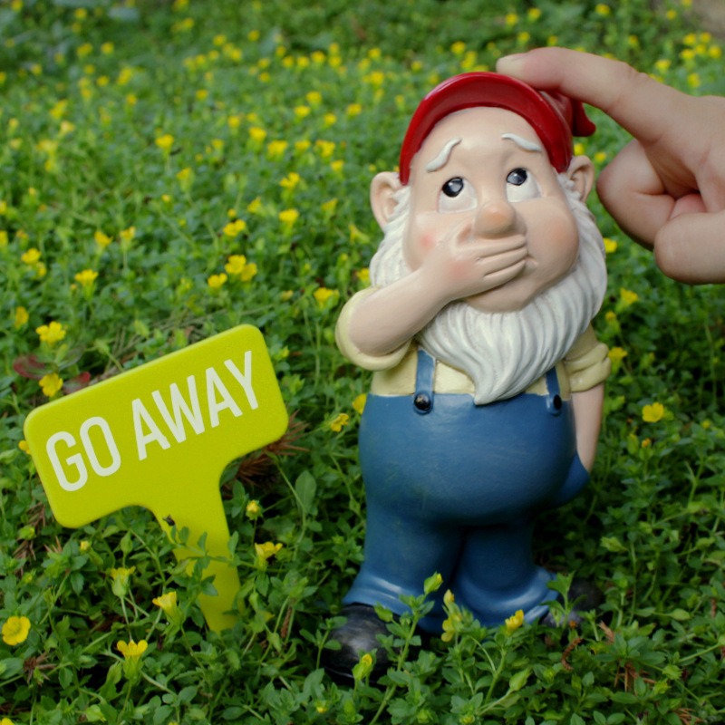 Close view of the gnome face and red cap among green plants