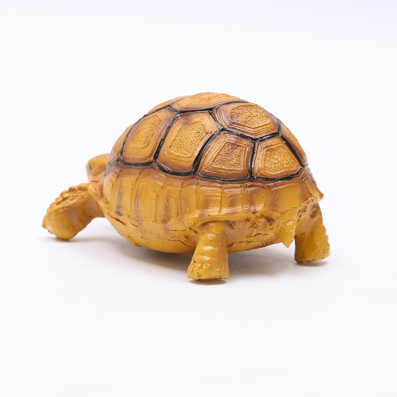 Resin tortoise shell back and sides with leg placement visible