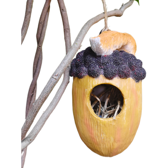 Acorn bird house with squirrel figurine and blackberry cap on white