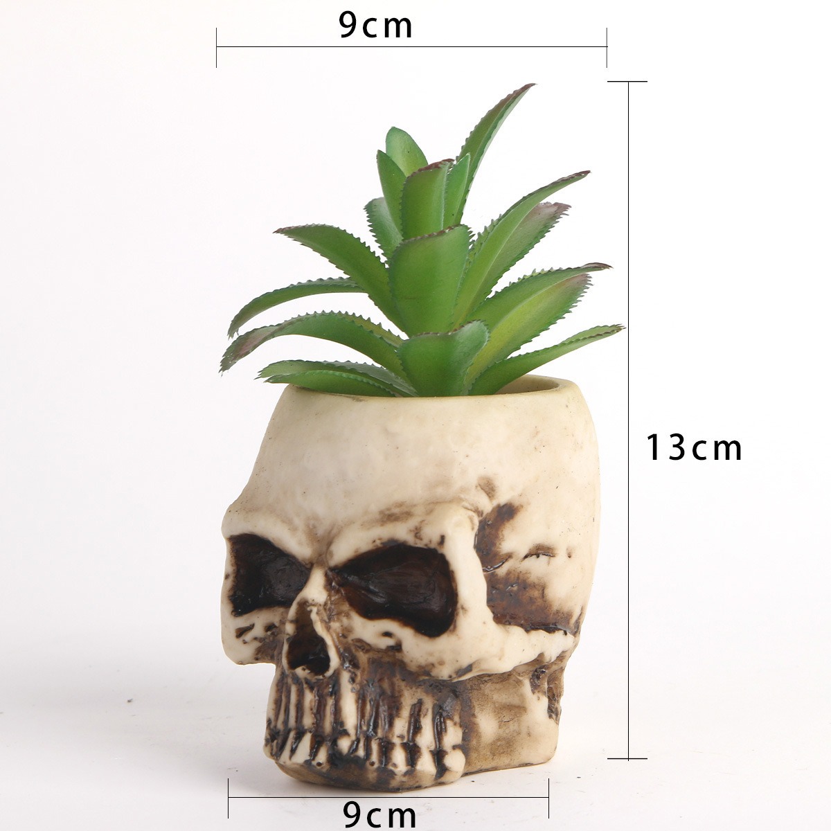 Angled view of skull planter with brown staining across the bone-ivory resin