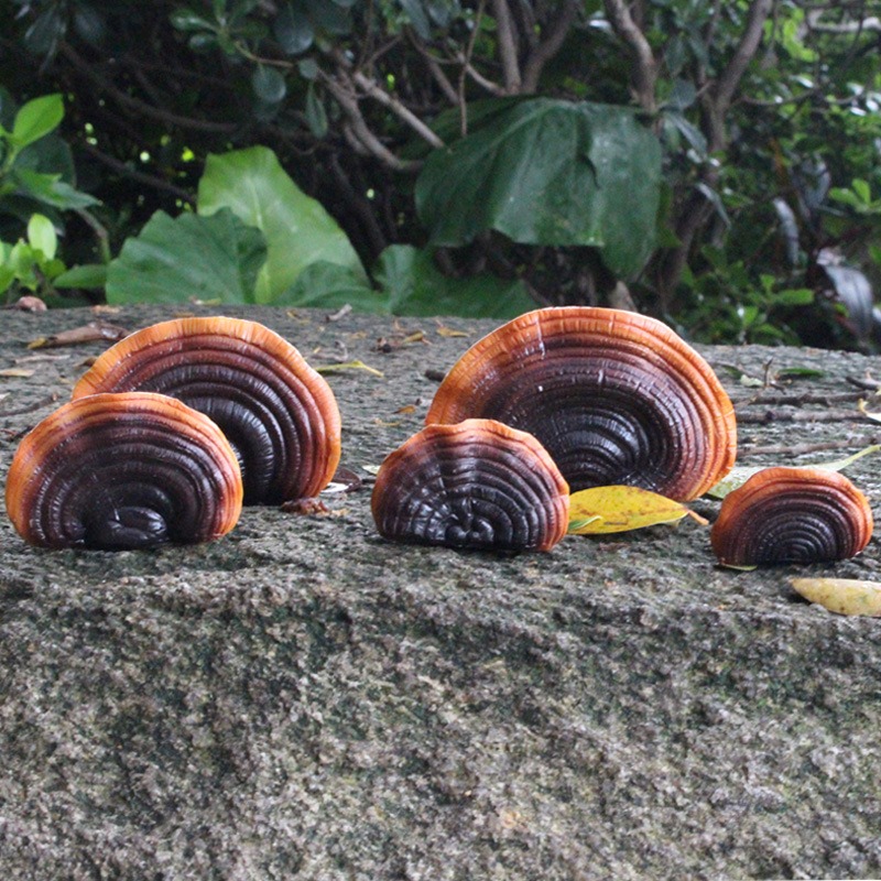 Several resin reishi ornaments of different sizes resting on a mossy outdoor stone