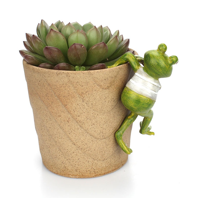 Plain pot on a sill with nothing to catch the eye